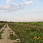IMG_8181.JPG