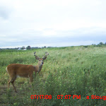 MDGC0523.JPG