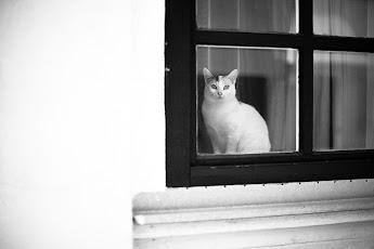 14.7.2013 2013-07-14.jpg