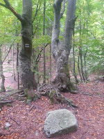 20120927_095133.jpg Photo 20120927_095133.jpg Photo