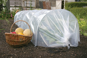 Giant Easy Poly Tunnel - Closed