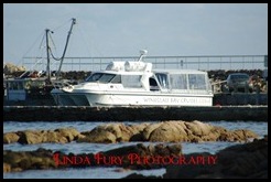 Cruise 001