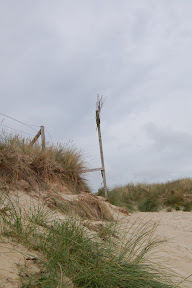DSC_0074.JPG