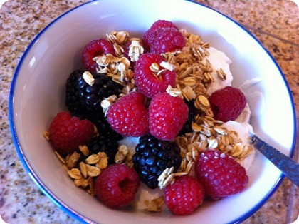 Fage yogurt bowl with berries & granola yogurt topping ideas