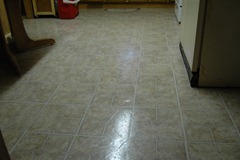 the floor 009 the floor 009