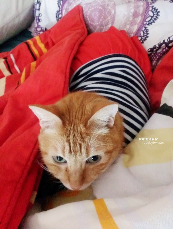 調整大小IMAG2128 調整大小IMAG2128