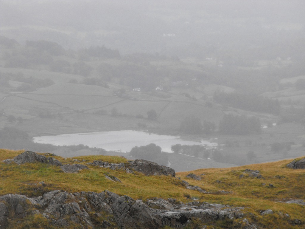 [goat--elterwater3.jpg]