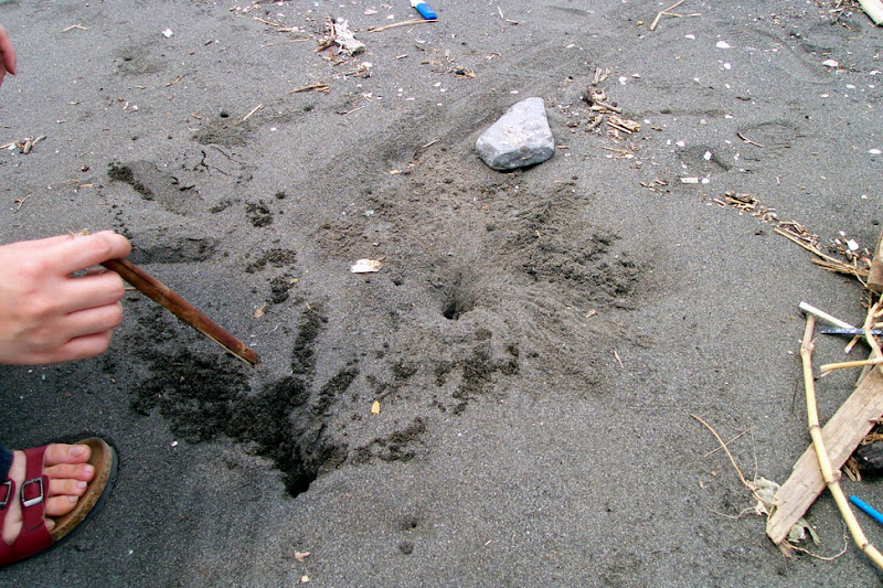 pic08.jpg