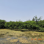 DSCN8387.JPG
