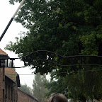 Krakow 530.JPG