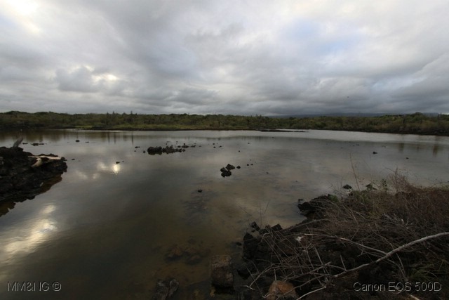 [IMG_1195%255B4%255D.jpg]