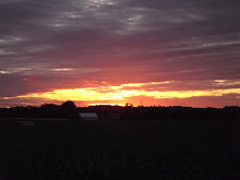 DSCF2262