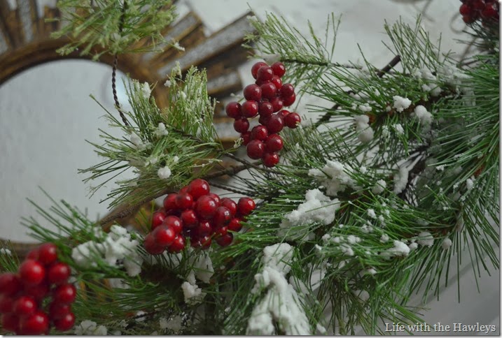 DSC_0357 DSC_0357