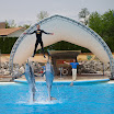 2010-05-09 Lipperswill (591).jpg