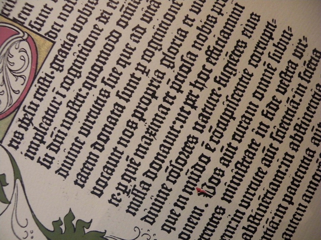 [Closeup3.jpg]