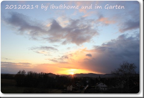 IMG_0214 IMG_0214