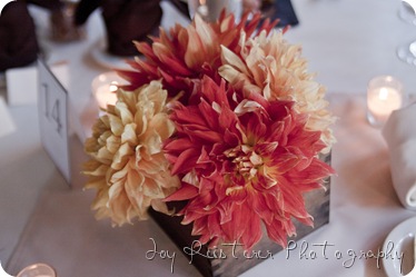 mlblogimg_0194