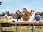 I, G.K., will be your guide for the first part of the tour.  Now boys, I know I'm fluffy and fun to pet and I do love the attention, but please, concentrate on the scenery!