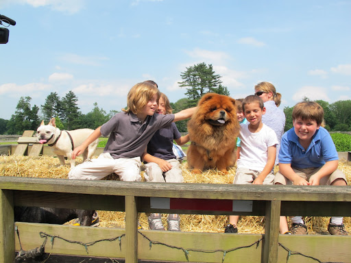 I, G.K., will be your guide for the first part of the tour.  Now boys, I know I'm fluffy and fun to pet and I do love the attention, but please, concentrate on the scenery!