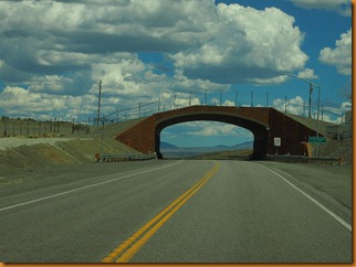 P4233013