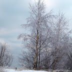 PC293569 [640x480].JPG