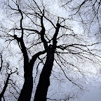 DSCF0359.JPG