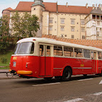 wygoda 094.JPG