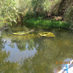 IMG_5368_P1.jpg