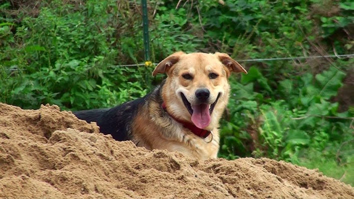 [20140911144606-%25282%2529%255B2%255D.jpg]