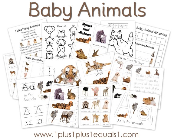 [Baby-Animals6.jpg]