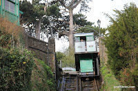 IMG_5973.JPG Photo