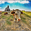 Cow by Simon Kovacic - Animals Other Mammals ( velika planina, pasture, church, slovenia, cow, cows )
