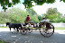 Colonial Williamburg in May