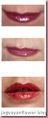 110531 - Revlon Plum (1) 110531 - Revlon Plum (1)
