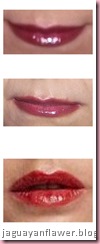 110531 - Revlon Plum (1)