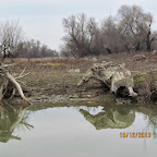IMG_1524.JPG