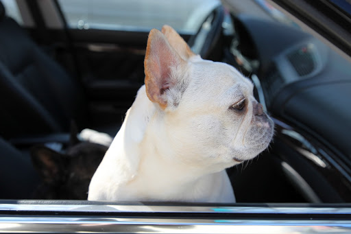 All right, Carlos.  This is getting ridiculous!  We've been in the car for a whole...two minutes!