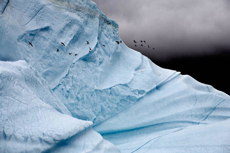 Camille Seaman Iceberg005 copy
