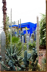 Marrakech Majorelle garden_edited-1 Marrakech Majorelle garden_edited-1
