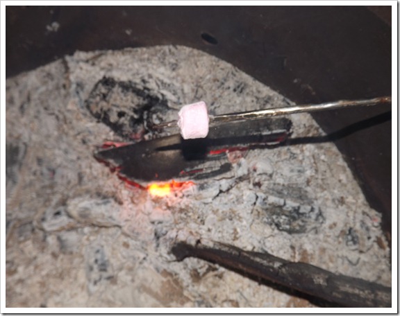 DSCF2844