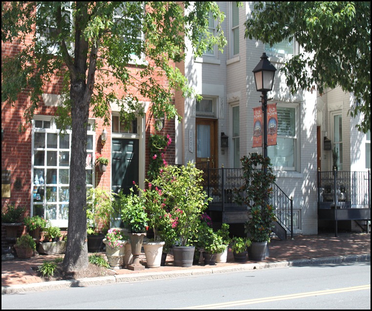 Old Town Alexandria 4