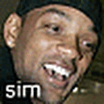 sim.gif