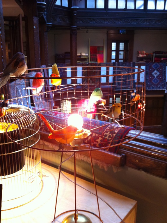 [IMG_8147%255B8%255D.jpg]