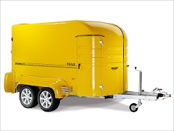 50-rexusgelb01.jpg