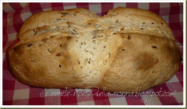 Pane con pasta madre ai semi misti e olio extravergine d'oliva (8)