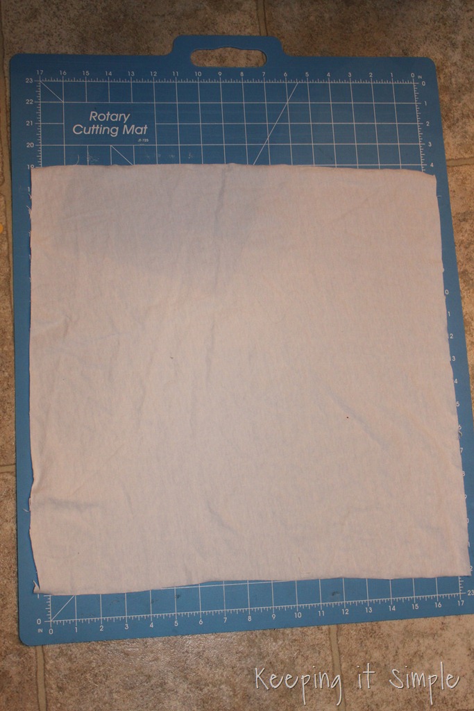 [valentine%2520pillow%2520%25284%2529%255B9%255D.jpg]