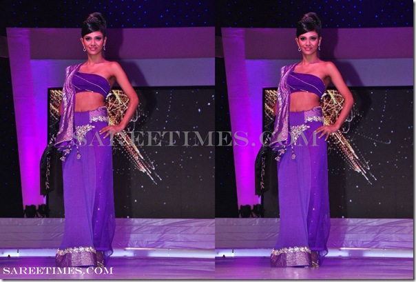 Designer_Sari