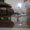 IMG_3061.jpg