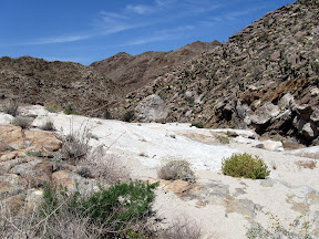 Giant rock plateau. The diversity of the rocks out here was amazing.