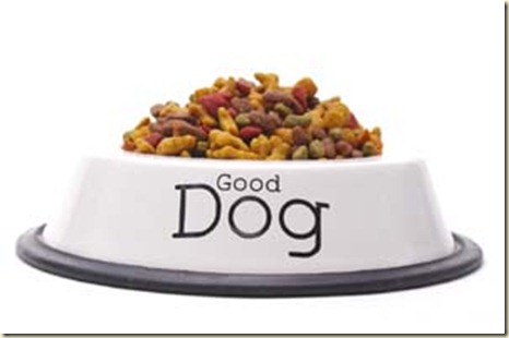 Good Dog Food